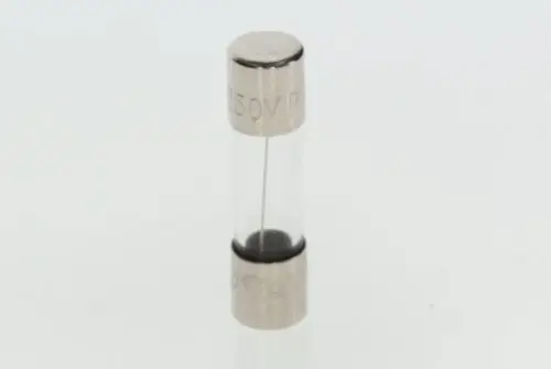 Bosch elektrische Sicherung in transparenter Kunststoffhülle mit metallischen Enden, beschriftet mit 250V und einem schmalen inneren Draht.